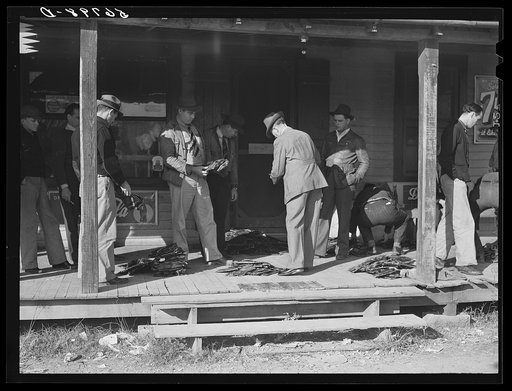 Untitled photo, possibly related to: Spanish trappers and fur buyers waiting around while muskrats are being graded during auction sale on porch of community store. Saint Bernard, Louisiana