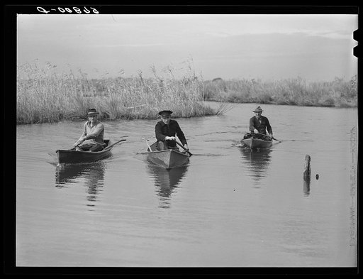Spanish muskrat trappers returning to camp in their "piroques" (a bayou canoe). Delacroix Island, Saint Bernard Parish, Louisiana