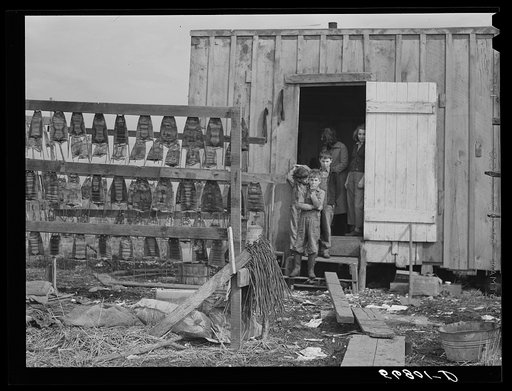 Muskrat skins hanging up to dry by Spanish trapper's home in the marshes.  He then takes the furs to the island to sell. Delacroix Island, Saint Bernard Parish, Louisiana