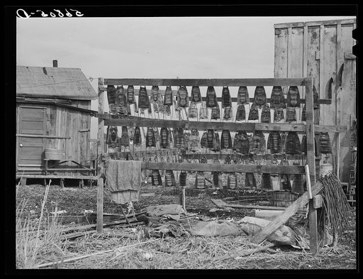 Untitled photo, possibly related to: Muskrat skins hanging up to dry by Spanish trapper's home in the marshes. He then takes the furs to the island to sell. Delacroix Island, Saint Bernard Parish, Louisiana
