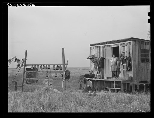 Muskrat skins hanging up to dry by Spanish trapper's home in the marshes.  He then takes the furs to the island to sell. Delacroix Island, Saint Bernard Parish, Louisiana
