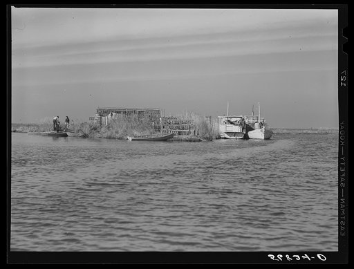 Spanish trapper's camp in the marshes. In the small "piroque" (or canoe) he can go up the very narrow and shallow bayous; the large boat he uses for fishing, going to the island to sell his muskrat pelts, and bringing back supplies. Delacroix Island, Saint Bernard Parish, Louisiana