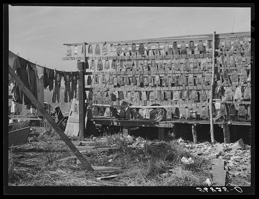 Muskrat skins hanging up to dry by Spanish trapper's home in the marshes.  He then takes the furs to the island to sell. Delacroix Island, Saint Bernard Parish, Louisiana