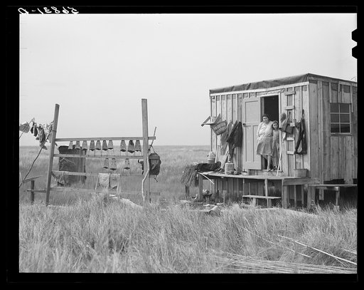Untitled photo, possibly related to: Muskrat skins hanging up to dry by Spanish trapper's home in the marshes. He then takes the furs to the island to sell. Delacroix Island, Saint Bernard Parish, Louisiana
