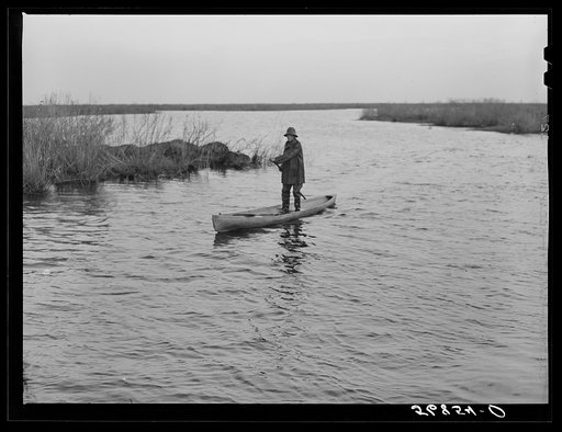 Untitled photo, possibly related to: Spanish trapper returning home to his camp in the marshlands near Delacroix Island, Louisiana. He has been out in his hand built piroque (canoe) checking up on his muskrat traps