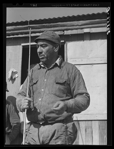 Untitled photo, possibly related to: Spanish muskrat trapper by his camp with reed in his hand. These reeds are used to mark location of traps. Delacroix Island, Saint Bernard Parish, Louisiana