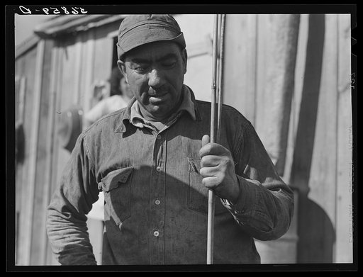 Spanish muskrat trapper by his marsh camp with reed in his hand. These reeds are used to mark location of traps. Delacroix Island, Saint Bernard Parish, Louisiana