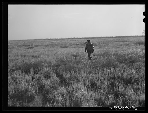 Spanish muskrat trapper going out at dawn to make the rounds of his traps.  He usually returns to his camp in the marshes about three or four o'clock in the afternoon. Delacroix Island. Saint Bernard Parish, Louisiana