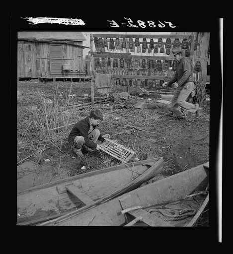 Untitled photo, possibly related to: Spanish trapper's son setting the trap which he made to catch birds by his camp in the marshes near Delacroix Island, Louisiana