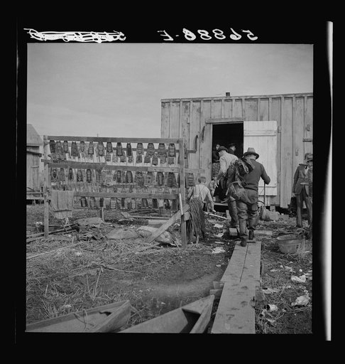 Spanish trapper returning to his camp after checking up on his muskrat traps. On the left are the skins hanging up to dry. In the marshes near Delacroix Island, Louisiana. See general caption number one
