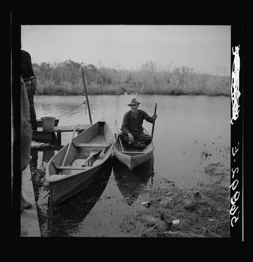 Untitled photo, possibly related to: Spanish trapper returning home to his camp in the marshlands near Delacroix Island, Louisiana. He has been out in his hand built piroque (canoe) checking up on his muskrat traps