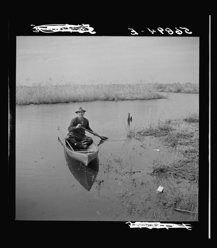 Spanish trapper returning home to his camp in the marshlands near Delacroix Island, Louisana. He has been out in his hand built piroque (canoe) checking up on his muskrat traps