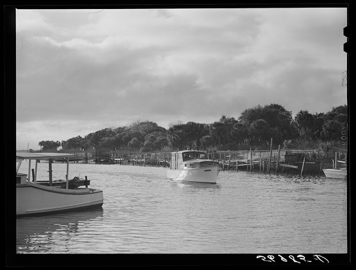 Returning from fishing, guests of Sarasota trailer park glide into docks. Sarasota, Florida