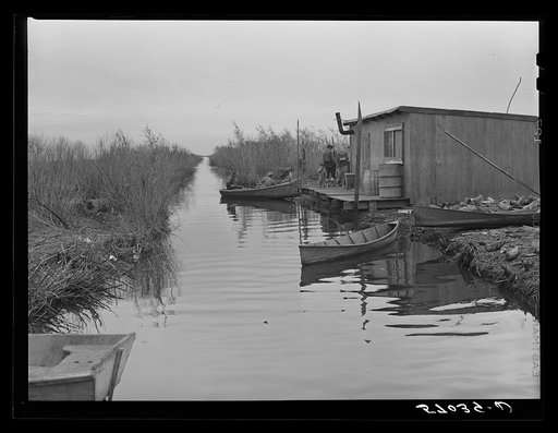 Spanish muskrat trapper's camp with home built piroques (canoes) on the bayou in the marshes near Delacroix Island, Louisiana. See general caption number one