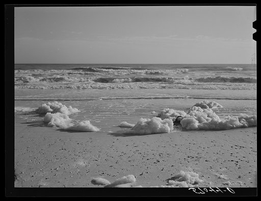 Sea foam left from incoming tides of the Gulf. Near Pensacola, Florida