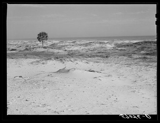 Sand dunes along gulf off highway near Pensacola, Florida