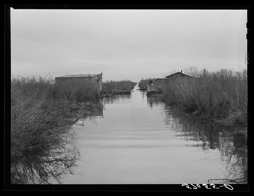 Spanish muskrat trapper's camp with home built piroques (canoes) on the bayou in the marshes near Delacroix Island, Louisiana