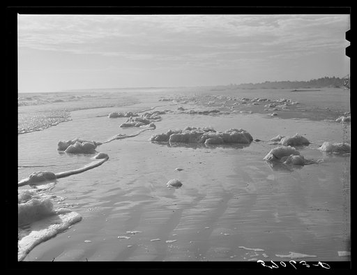 Sea foam left from incoming tides of gulf near Pensacola, Florida