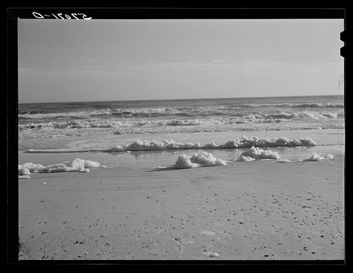 Untitled photo, possibly related to: Sea foam left from incoming tides of the Gulf. Near Pensacola, Florida
