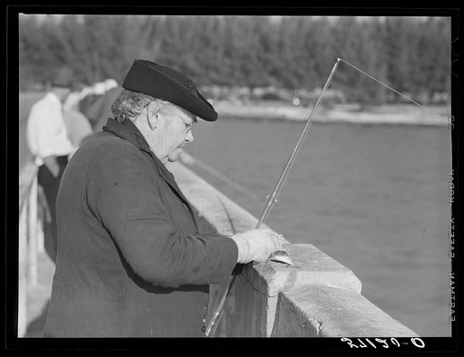 Untitled photo, possibly related to: Guest of Sarasota trailer park, Sarasota, Florida, with fish bait, fishing from bridge