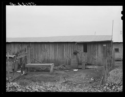 Agricultural workers' families living in houses already condemned by board of health in Belle Glade, Florida
