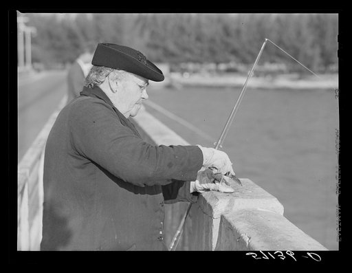 Guest of Sarasota trailer park, Sarasota, Florida, with fish bait, fishing from bridge