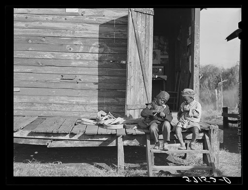 Agricultural day laborer's shack, Canal Point, Florida. This is one of the condemned houses in the area