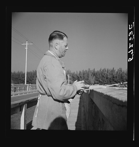 Untitled photo, possibly related to: Guest of Sarasota trailer park, Sarasota, Florida, adjusting fishing rod