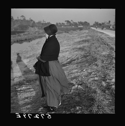 Amish farm woman from Pennsylvania near Sarasota, Florida, observing Florida farming methods