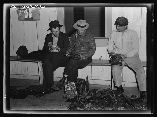 Fur buyers figuring out their bid for trapper's muskrats at auction sale in dance hall. Delacroix Island, Louisiana