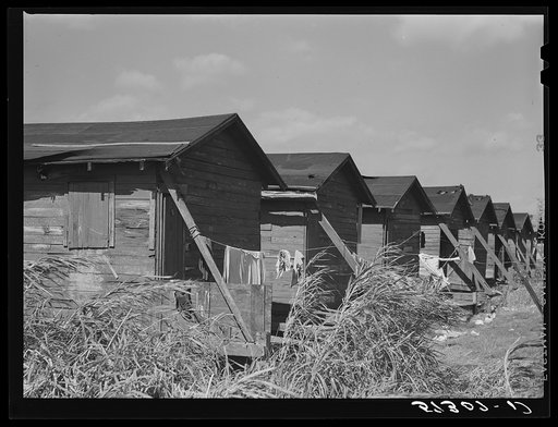 Houses condemned by board of health still occupied by Negro migratory workers. Belle Glade, Florida