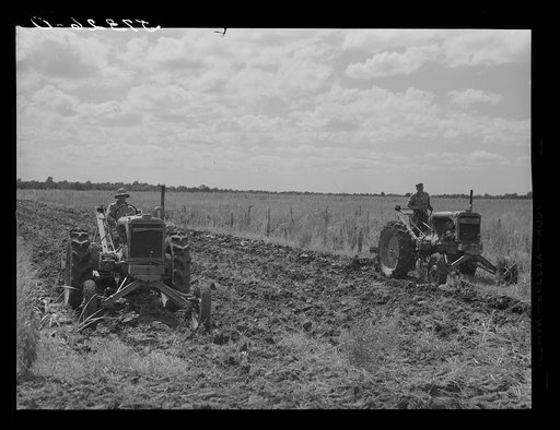 Discing land on Terrebonne Project. Schriever, Louisiana