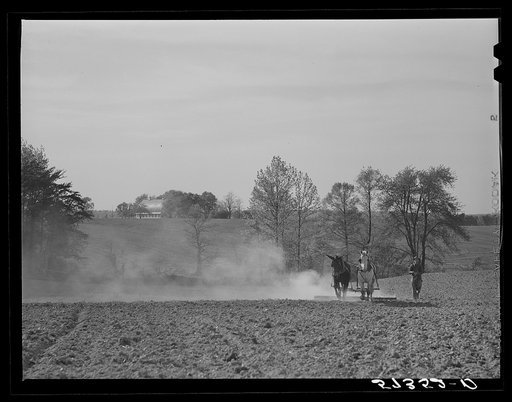 Untitled photo, possibly related to: Harrowing cornfield on dairy farm in Fairfax County, Virginia