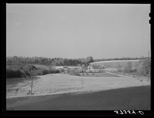 Untitled photo, possibly related to: Farmers taking in rye after it had been cut near Vienna, Virginia 