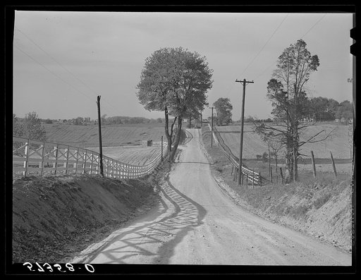Dirt road and fence through farmland in Fairfax County, Virginia