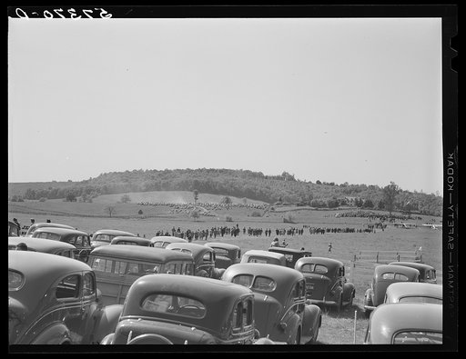 Untitled photo, possibly related to: Parked cars for spectators. Point-to-Point Cup Horse race. Worthington Valley, near Glyndon, Maryland