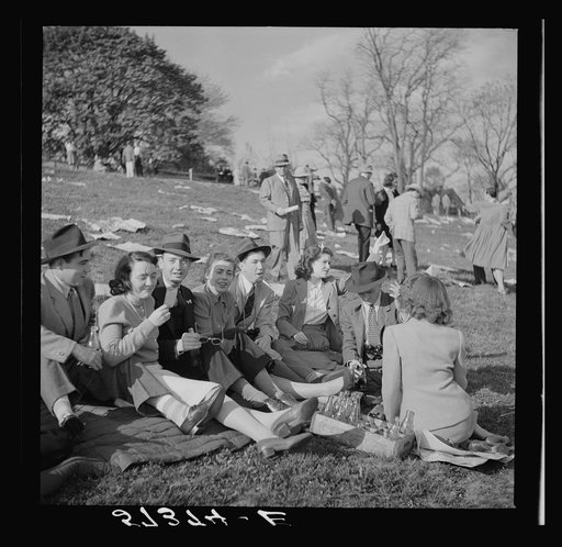 Spectators picnicking before the Point-to-Point Cup race of the Maryland Hunt Club. Worthington Valley, near Glyndon, Maryland