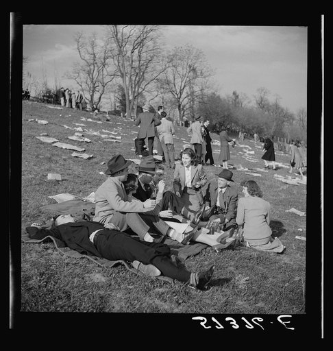 Spectators picnicking before the Point-to-Point Cup race of the Maryland Hunt Club. Worthington Valley, near Glyndon, Maryland