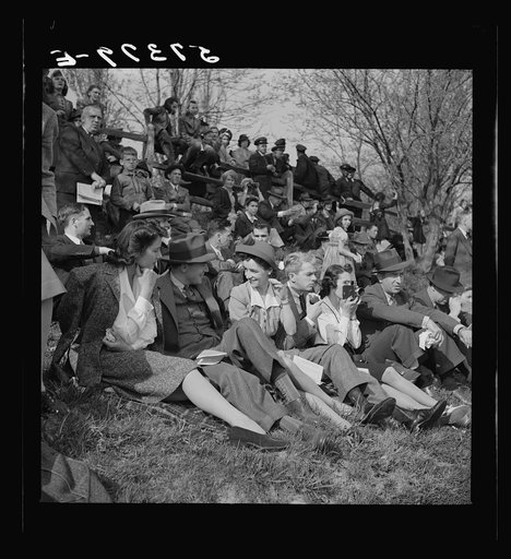 Spectators at the Point-to-Point Cup race of the Maryland Hunt Club. Worthington Valley, near Glyndon, Maryland