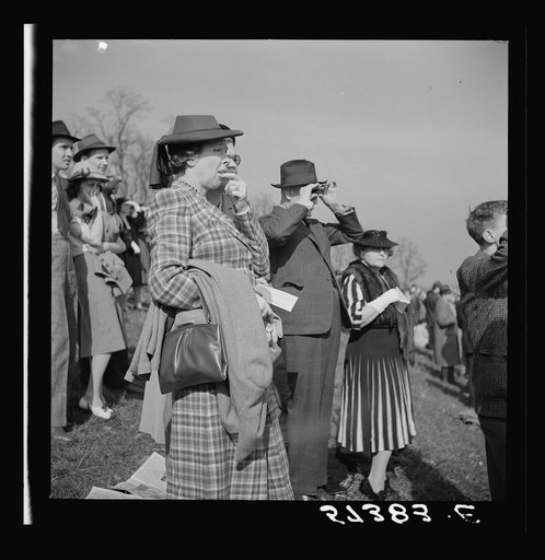 Spectators at the Point-to-Point Cup race of the Maryland Hunt Club. Worthington Valley, near Glyndon, Maryland