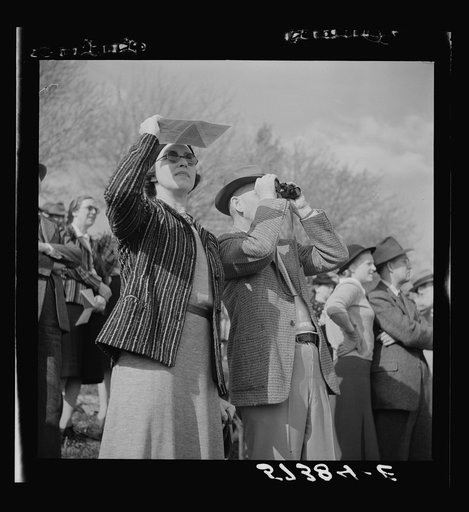 Spectators at the Point-to-Point Cup race of the Maryland Hunt Club. Worthington Valley, near Glyndon, Maryland