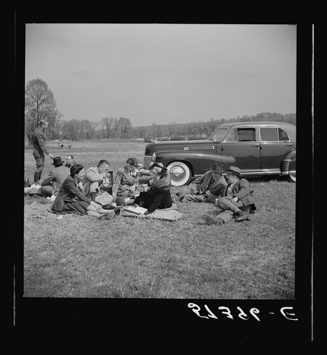 Spectators picnicking before the Point to Point Cup race of the Maryland Hunt Club. Worthington Valley, near Glyndon, Maryland