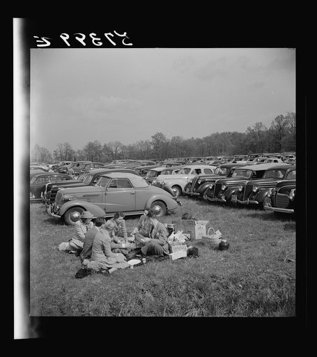Spectators picnicking before the Point to Point Cup race of the Maryland Hunt Club. Worthington Valley, near Glyndon, Maryland