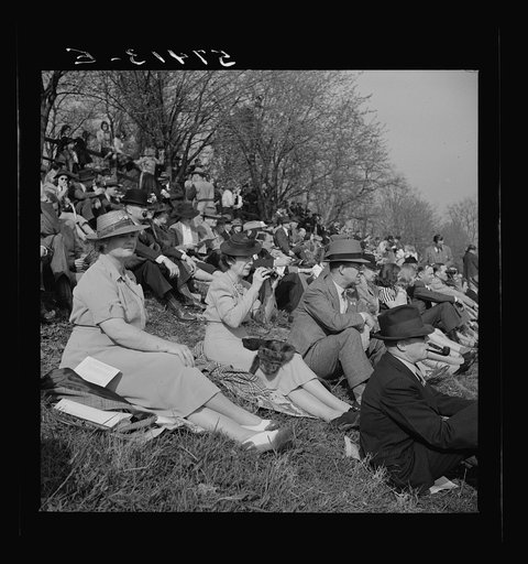 Spectators at the Point to Point Cup race of the Maryland Hunt Club. Worthington Valley, near Glyndon, Maryland