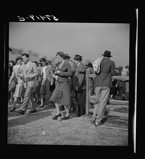 Spectators at the Point-to-Point Cup race of the Maryland Hunt Club. Worthington Valley, near Glyndon, Maryland