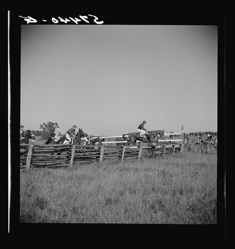 Horse races. Warrenton, Virginia
