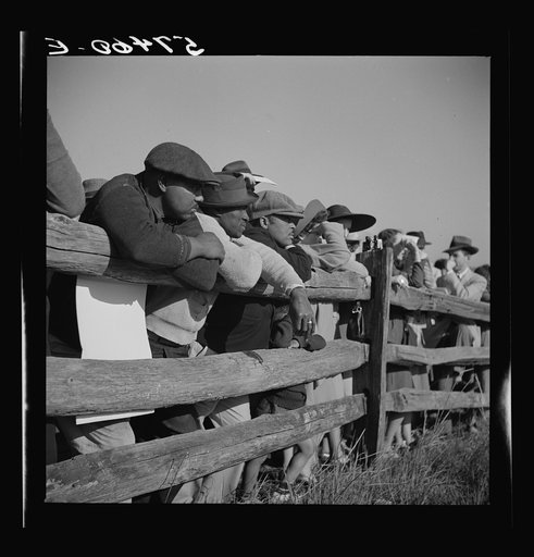 Spectators at paddock fence between races. Warrenton, Virginia