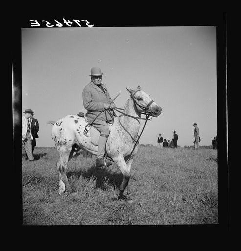 Judge at the horse races. Warrenton, Virginia