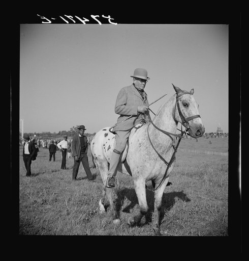 Untitled photo, possibly related to: Judge at the horse races. Warrenton, Virginia