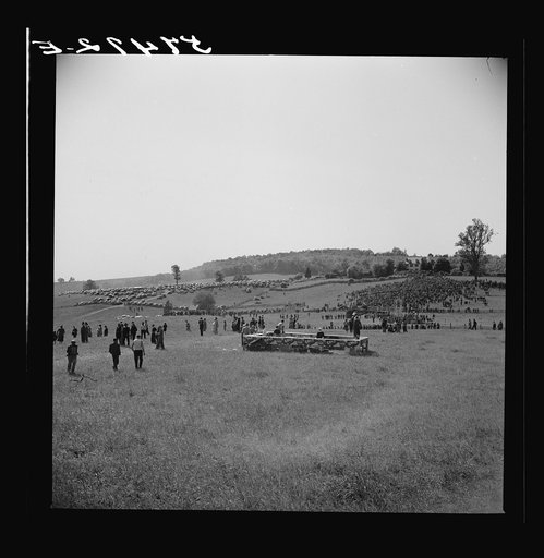 Judge at the horse races. Warrenton, Virginia
